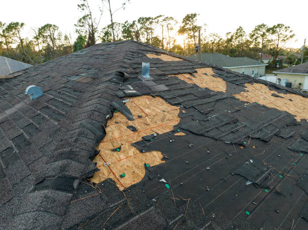 Best Metal Roofing Installation  in San Leon, TX