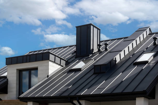 Best Solar Panel Roofing Installation  in San Leon, TX